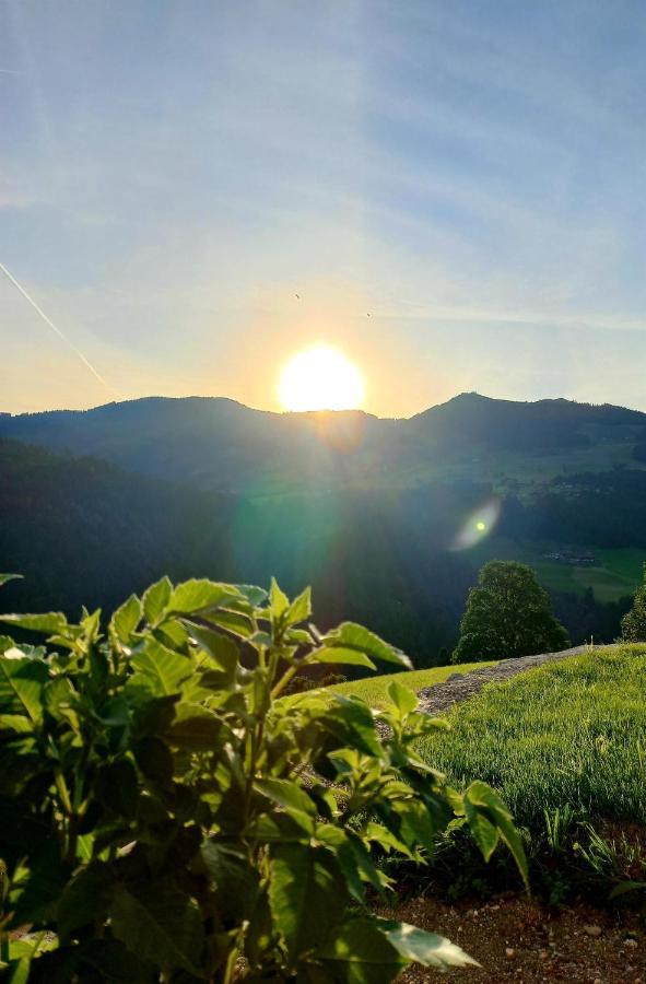 Bergappartement Kink Hopfgarten im Brixental Esterno foto